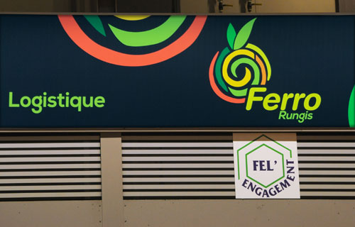 Ferro socio