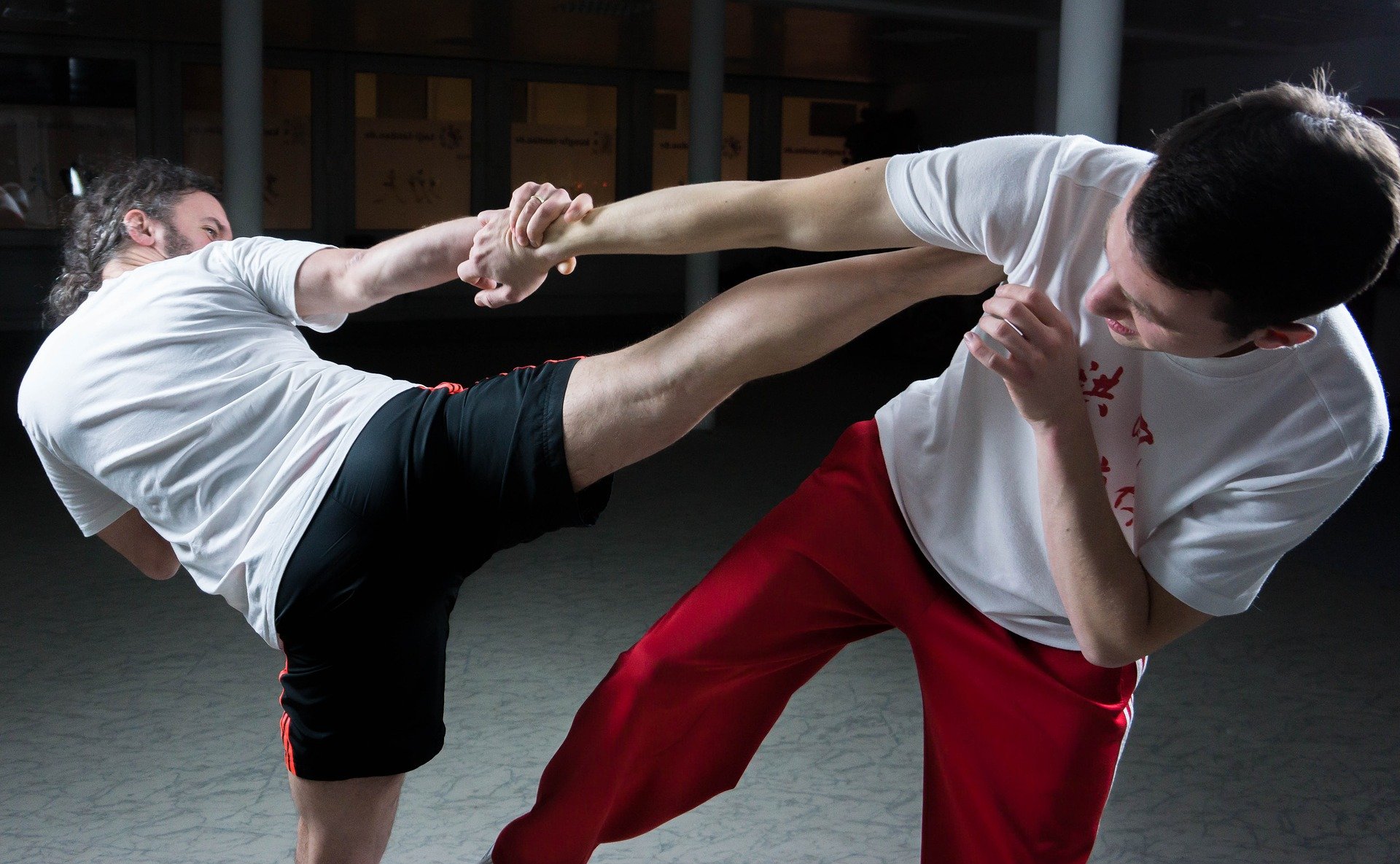 Características específicas de las técnicas tradicionales de artes marciales en Salta
